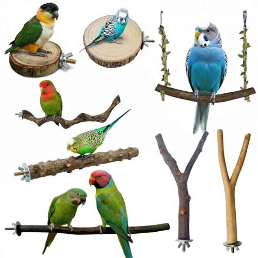 Health & Wellness Lafayette - 8PCS natural wood bird perches for