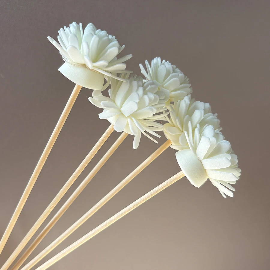 10pcs Aroma Diffusing Stick an - Aromatherapy Diffuser 评论和价格